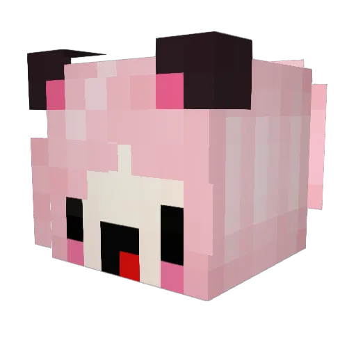 Bin_F Minecraft avatar head, 3D render