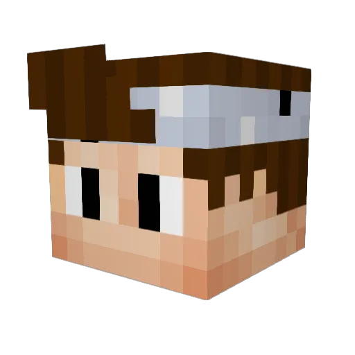 Binaercode Minecraft avatar head, 3D render