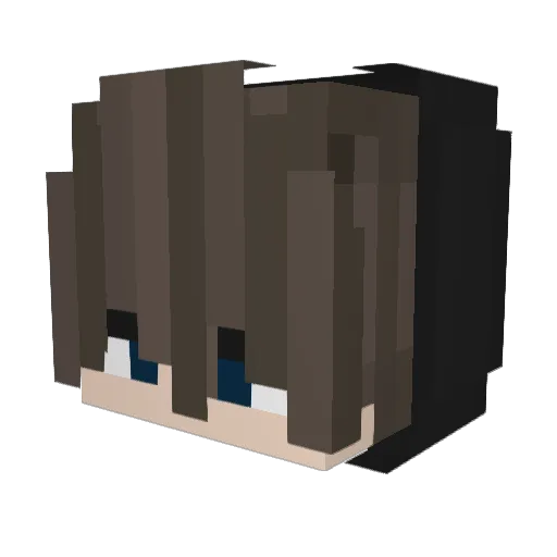BinamPennen Minecraft avatar head, 3D render