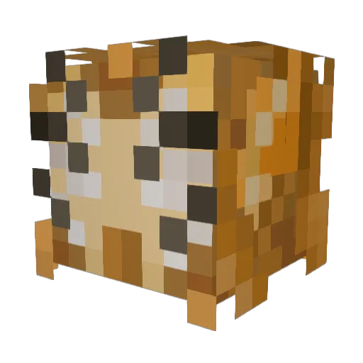 BinaryAscella Minecraft avatar head, 3D render