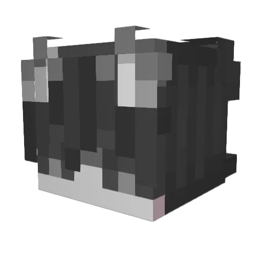 BinaryBenefactor Minecraft avatar head, 3D render