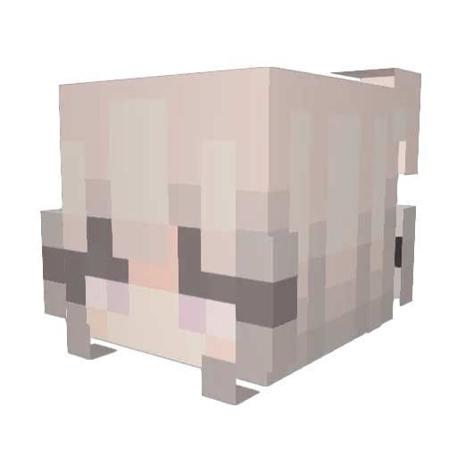 BinaryBomb3r Minecraft avatar head, 3D render
