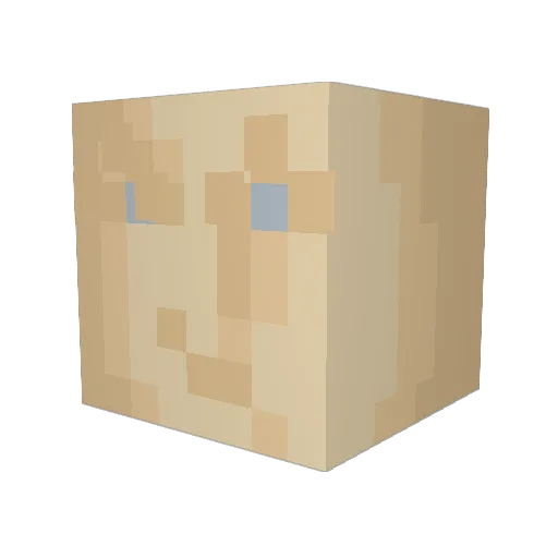 BinaryCreep Minecraft avatar head, 3D render