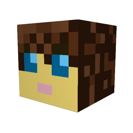 BinaryPersona Minecraft avatar head, 3D render
