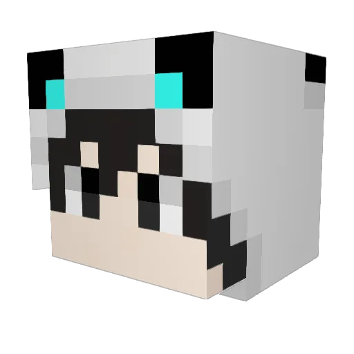 Binbin0827 Minecraft avatar head, 3D render
