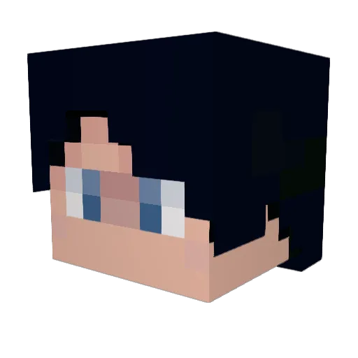 Binckhorst Minecraft avatar head, 3D render
