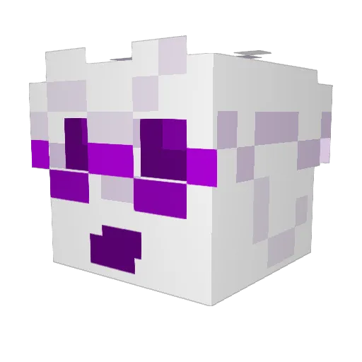 Bing0_Bong0 Minecraft avatar head, 3D render