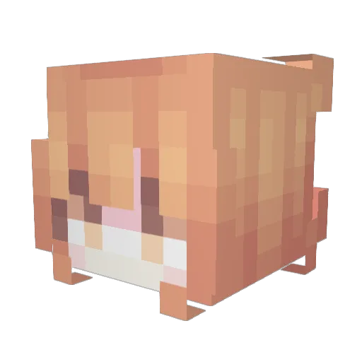 BingBongLady Minecraft avatar head, 3D render