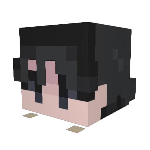 BingChili Minecraft avatar head, 3D render