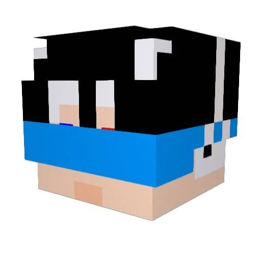 BingFing Minecraft avatar head, 3D render