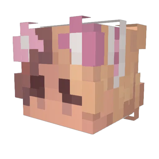 Bingay420 Minecraft avatar head, 3D render
