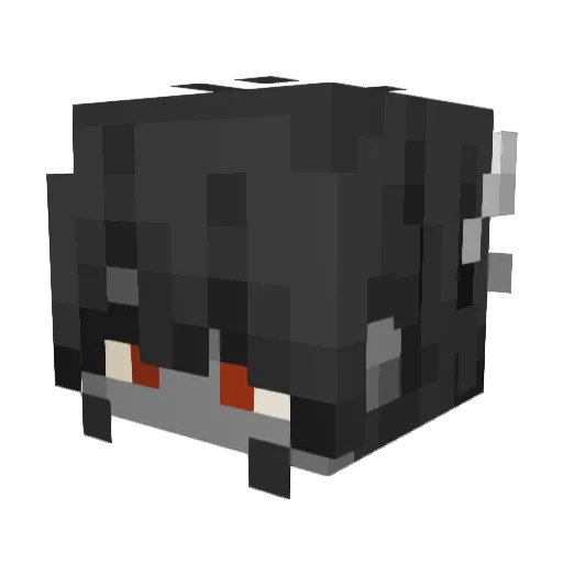 Bingey2 Minecraft avatar head, 3D render