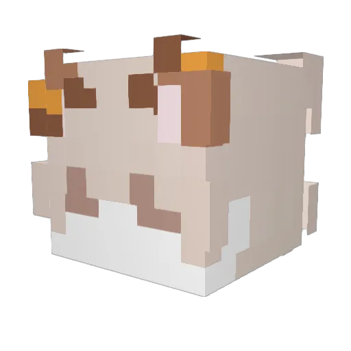 BinggMC Minecraft avatar head, 3D render