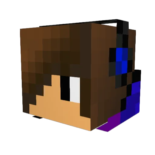 Bingo78910 Minecraft avatar head, 3D render