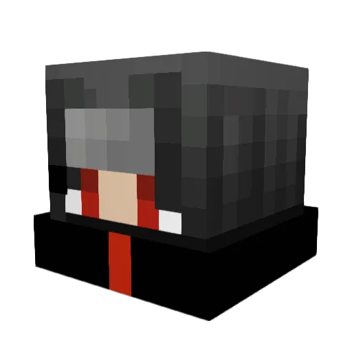 BingoBongo91 Minecraft avatar head, 3D render