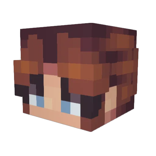 Bingo_Enjoyer Minecraft avatar head, 3D render