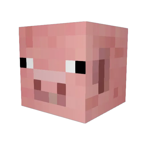 Bingoboy Minecraft avatar head, 3D render