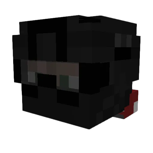 Bingoman000 Minecraft avatar head, 3D render