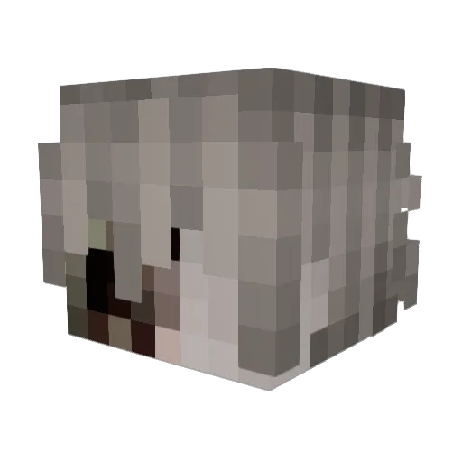 Bingos Minecraft avatar head, 3D render