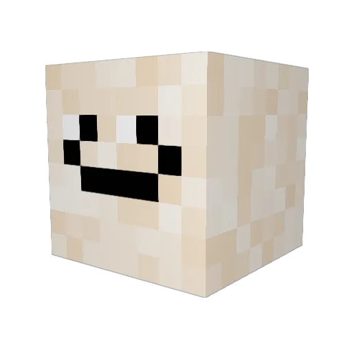 BingotheDingo66 Minecraft avatar head, 3D render
