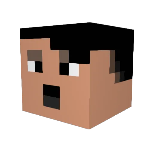 Bingotus Minecraft avatar head, 3D render