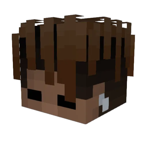 Bingston Minecraft avatar head, 3D render