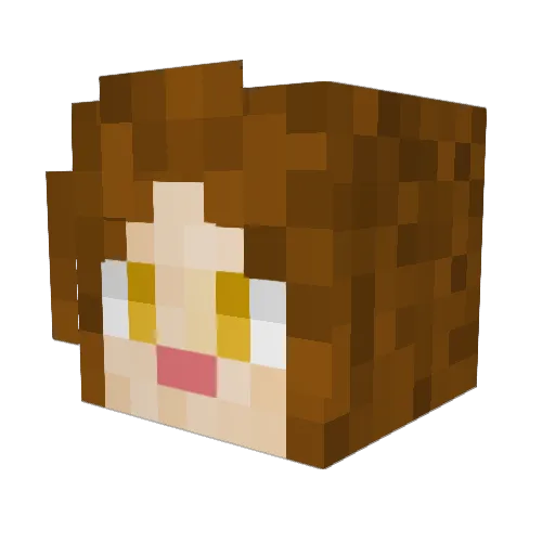 Bingus_Enjoyer22 Minecraft avatar head, 3D render