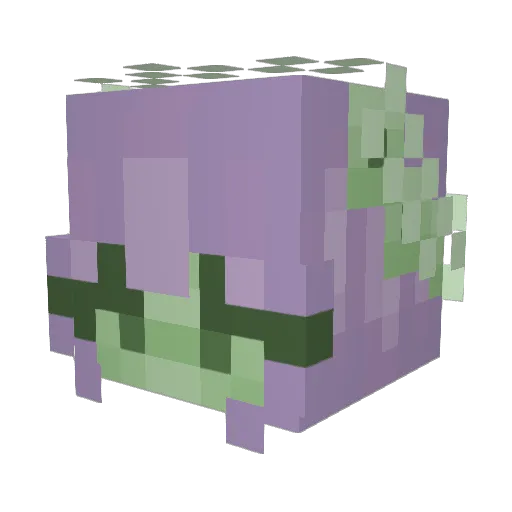 Bingus_Is_Life_ Minecraft avatar head, 3D render