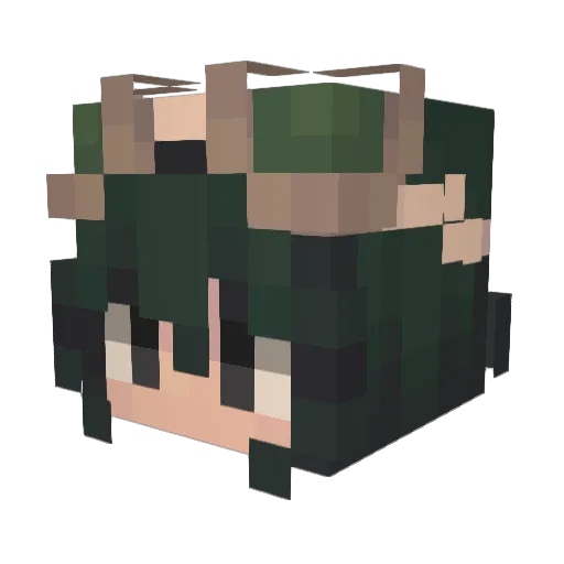 Bingus_fan_360 Minecraft avatar head, 3D render