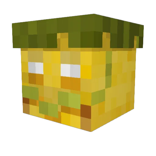 Bingus_priest Minecraft avatar head, 3D render