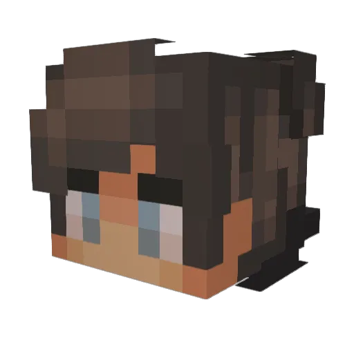 Bingusmaster Minecraft avatar head, 3D render