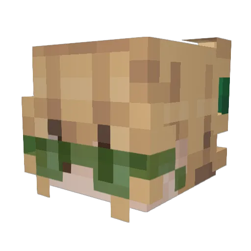 Binhgi Minecraft avatar head, 3D render