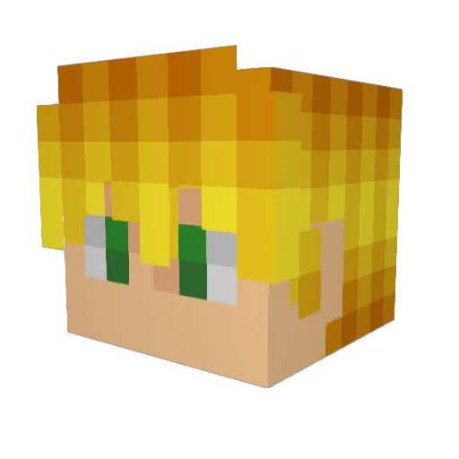 Binho013 Minecraft avatar head, 3D render