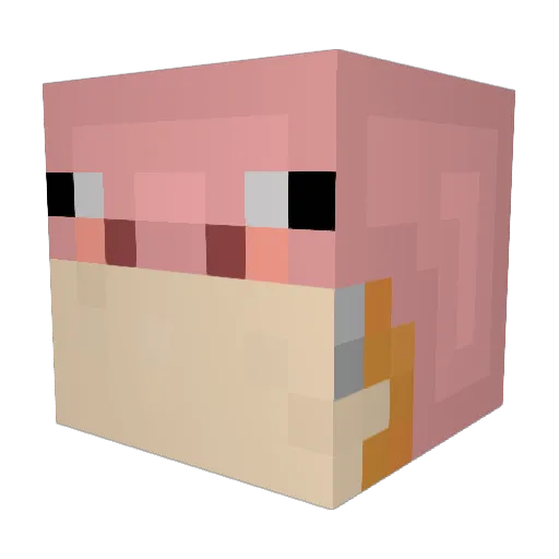 Bini2009 Minecraft avatar head, 3D render