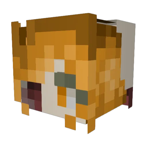 BiniiiBee Minecraft avatar head, 3D render