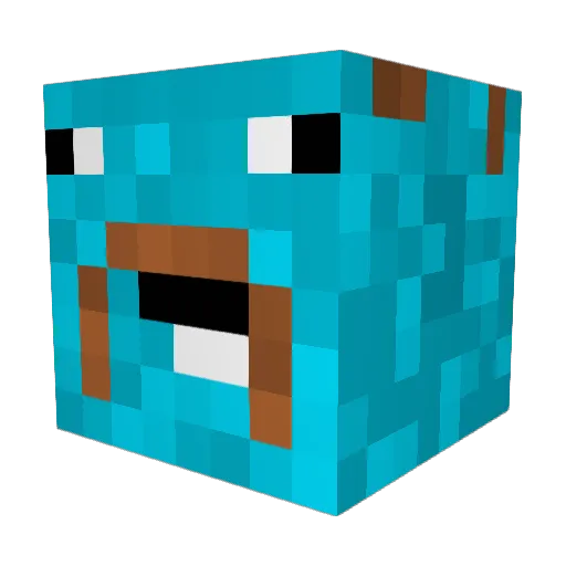 Binji101 Minecraft avatar head, 3D render