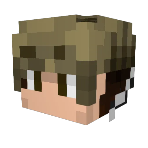 BinkBink48 Minecraft avatar head, 3D render