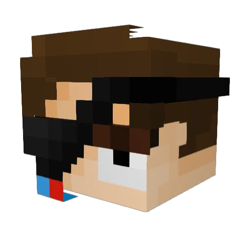 Binkenstein Minecraft avatar head, 3D render