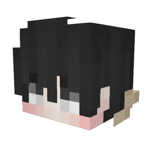 Binkie442 Minecraft avatar head, 3D render