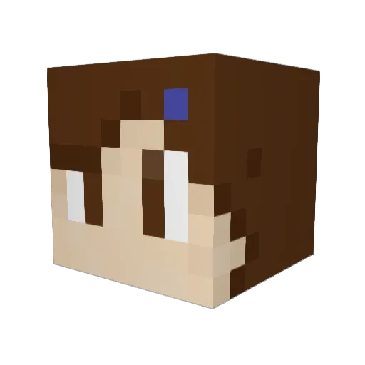 Binko213 Minecraft avatar head, 3D render