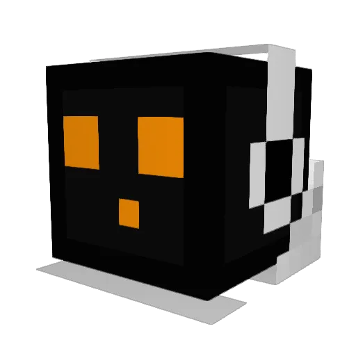 Binkoo19 Minecraft avatar head, 3D render