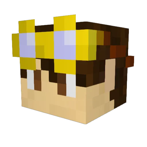 BinkyFiasco Minecraft avatar head, 3D render
