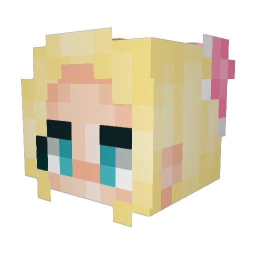 BinkyTale Minecraft avatar head, 3D render