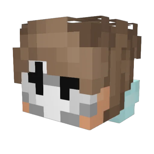 Binky_Boy1 Minecraft avatar head, 3D render