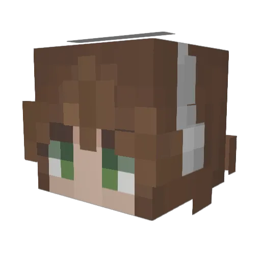 Binkycharming Minecraft avatar head, 3D render