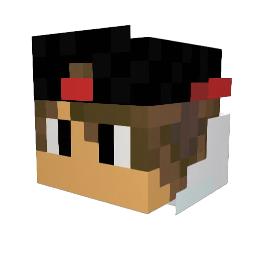 BinnGamer Minecraft avatar head, 3D render
