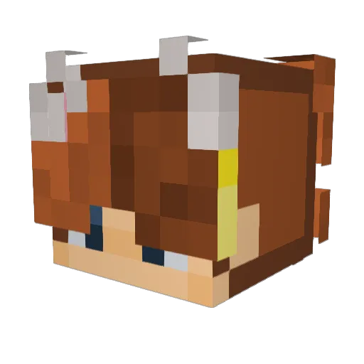 BinnyBag Minecraft avatar head, 3D render