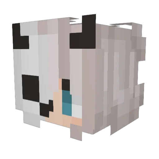 BinomialPie8961 Minecraft avatar head, 3D render