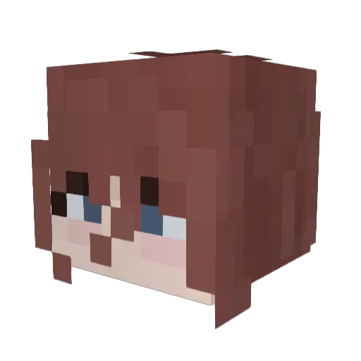 Bintendo42 Minecraft avatar head, 3D render