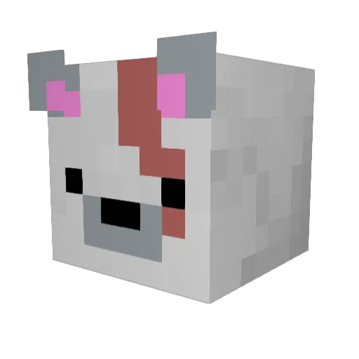 BinturongBandit Minecraft avatar head, 3D render